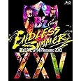 B'z LIVE-GYM Pleasure 2013 ENDLESS SUMMER-XXV BEST-【完全盤】 [Blu-ray]