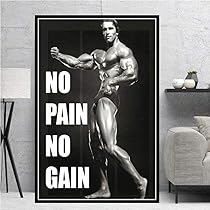 額装済/アーノルド・シュワルツェネッガー/ロジャー マッケンジー/アートポスター 額装済/アーノルド・シュワルツェネッガー/ロジャー マッケンジー