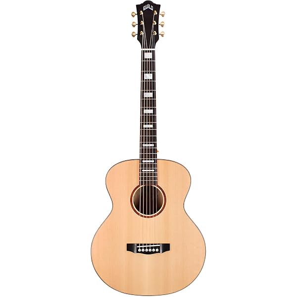 Amazon.co.jp: GUILD F-240E NAT エレクトリックアコースティック
