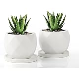 Umlaca 多肉植物 鉢 陶器 植木鉢 小型 底穴あり ミニ植木鉢 サボテン鉢 ミニ 植木鉢 おしゃれ 陶器製トレイ付き 鉢底ネット付き 2点セット 父の日プレゼント 植物なし(ホワイト)
