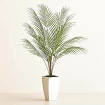 Amazon｜Wio Mioフェイクグリーン 人工観葉植物 高さ105cm ヤシの木