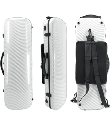 バイオリン　ピグマリウス　スタンダード　4/4 弓アルシェ　ケース　アミエット バイオリンピグマリウススタンダード4/4 弓アルシェケースアミエット