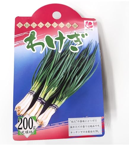 送料込み わけぎ 球根 大中混合 500g 球 無農薬 Amazon.co.jp: 20日