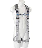 【格安】タイタン 新規格 フルハーネス　パンゲア　 PAHN-10A-BL-L タイタン HORIZON フルハーネス ブラック PAHN10A-BL-L [TAITAN