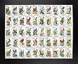 50 Birds byヴィンテージAppleコレクション 15.74"x20.00" 119245-36-6FUSA