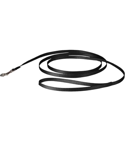 Amazon | HIGH5DOGS Handsfree Leashサイズ9mm色black gold