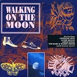 Walking on the Moon