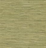 Brewster 405-45125 National Geographic Home Madagascar Olive Faux Grasscloth Wallpaper by Brewster
