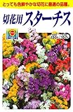 アタリヤ農園 ガーデニング用品 種 切花用スターチス