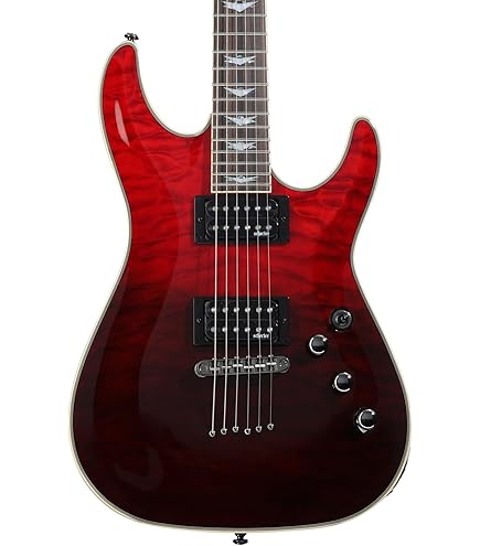 Amazon | Schecter シェクター Guitar Research Synyster Gates Custom