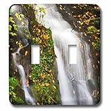 Danita Delimont – 秋 – ノースカロライナ州、グレート・スモーキー山脈国立公園、Waterfall – 照明スイッチカバー – ダブル切り替えスイッチ( LSP _ 231404 _