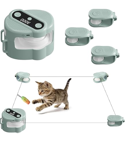 Amazon.co.jp: CAT SCHOOL 猫用クリッカートレーニングキット - 猫の