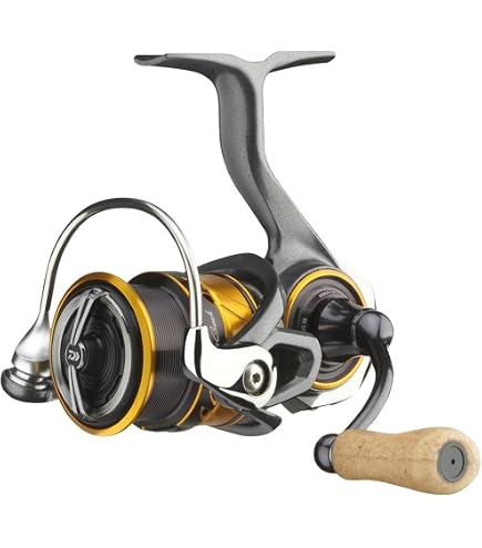 Amazon | ダイワ(DAIWA) ムーリネットスピニング シルバークリーク X