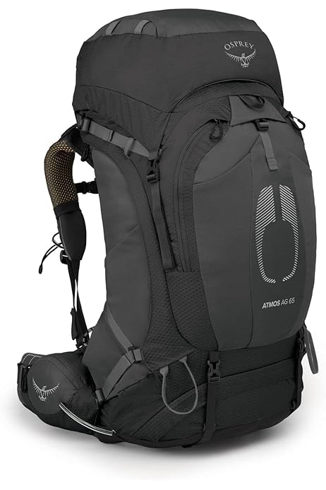 Amazon.co.jp: OSPREY(オスプレー) イーサーAG 85 OS50060 