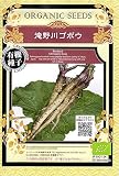 【有機種子】 滝野川ゴボウ グリーンフィールドプロジェクトのタネ