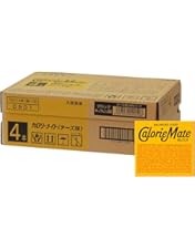 カロリーメイト　4本入り　100箱セット 匿名配送 カロリーメイト 4本入り 100箱セット 匿名配送 カロリーメイト