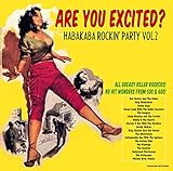 �A�[�E���[�E�G�L�T�C�e�B�b�h? �`�n�o�J�o�E���b�L���E�p�[�e�B�[�EVOL.2�`