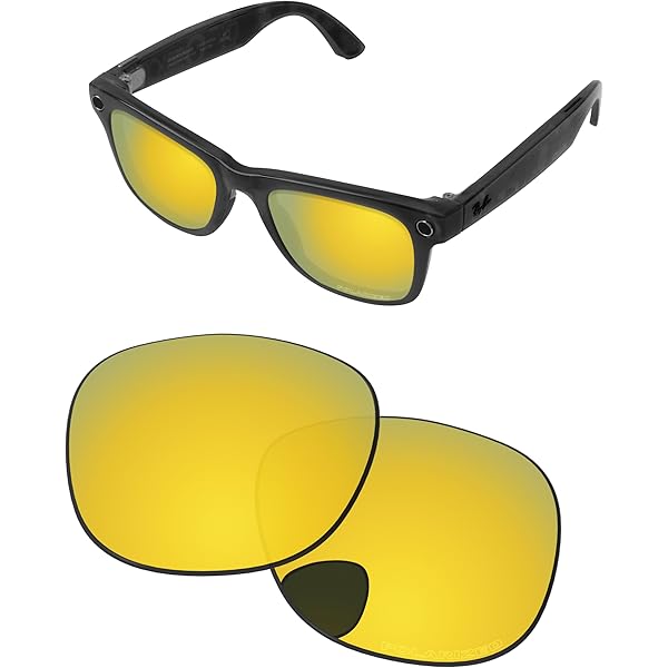 Amazon.co.jp: PapaViva 偏光 交換レンズ For Ray-Ban Meta Wayfarer