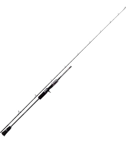 Amazon | ダイワ(DAIWA) ジギングロッド キャタリナ BJ・Y 62HB THRILL