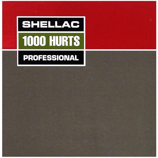 Shellac Steve Albini スティーヴ・アルビニ シェラック CD Amazon.co.jp: Terraform: ミュージック