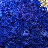 青いバラ ブルーローズ 200本の花束 キラキラ白いかすみ草付 誕生日 お祝い 開店祝