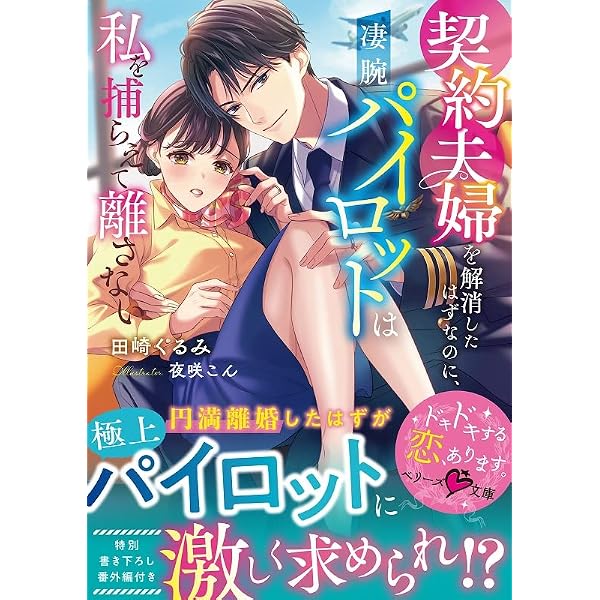 政略懐妊~赤ちゃんを宿す、エリート御曹司の甘く淫らな愛し方 