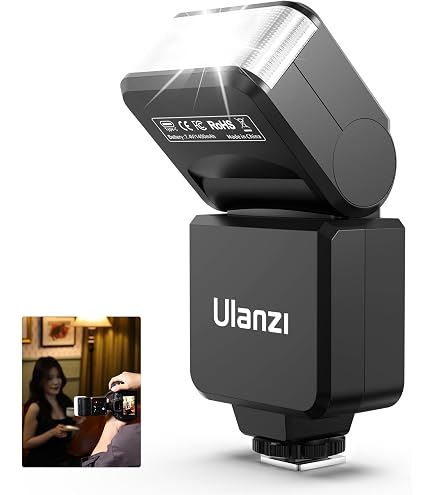 Amazon.co.jp: パナソニック (Panasonic) フラッシュライト DMW-FL200L 