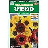 [サカタ　花タネ]ひまわり：バラエティミックス の種　4袋セット