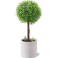 Amazon Co Jp 人気ギフトランキング 人工観葉植物 で ギフトの設定を使用して最もご注文いただいている商品