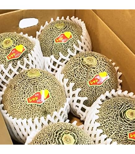 Amazon.co.jp: 糖度18度以上保証 JA茨城旭村 プレミアム エルソル