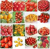 100 seeds 24 KINDS Tomoto Seeds mixed packed Purple Black Red Yellow Green Cherry Peach Pear Tomato 