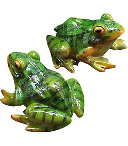 大型夜光貝　姿磨き　飾り物　インテリア　　　アクセサリー　オブジェ 大型夜光貝 ヤコウ貝 真珠磨き インテリア 飾り物 アクセサリー