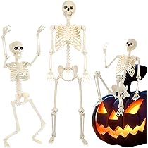 61raFGA48CL._AC_UL210_SR210,