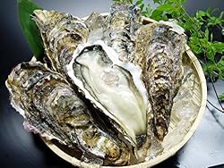 春も生で美味しい☆200ｇアップの【Lサイズ！】 三陸岩手産【大粒】生食用 殻付生かき 【赤崎オイスター】Lサイズ 20個セット　新鮮美味！な三陸かきを！ＧＷも出荷致します！