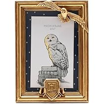 ハリーポッター　スネイプ　フィルム入り額縁　公式品 ハリーポッター スネイプ フィルム入り額縁 公式品 ハリー