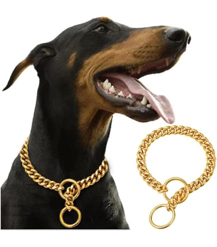 Amazon | WhiteForest 犬の首輪 ファッション ゴールド 犬チェーン