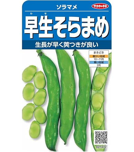そらまめ Amazon | サカタのタネ 実咲野菜7470 秋春そらまめ 駒栄