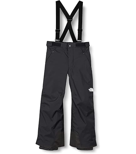 Amazon.co.jp: [ザノースフェイス] スキーウェア パンツ メンズ