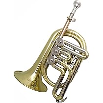 希少・B♭ロータリーコルネット