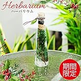 ハーバリウム （ハーバリューム）ピンク グリーン ブルー 期間限定カラー (期間限定カラー)
