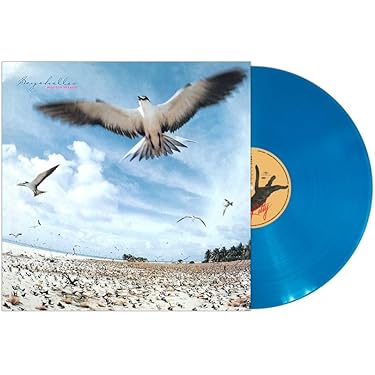 LP 和フュージョン ジャズ 9枚セット 高中正義 カシオペア ネイティブサン Amazon.co.jp Best Sellers: The most popular items in