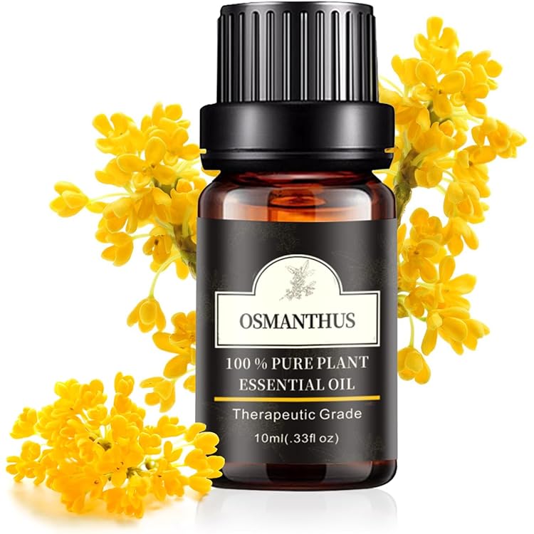 Amazon.co.jp: 生活の木 ブレンド精油 キンモクセイ(10ml) : ドラッグ