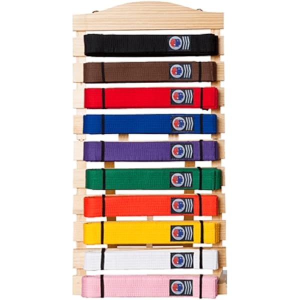 taekwando belt level