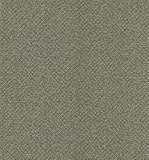 Brewster 431 – 7224 National Geographicホーム爬虫類、壁紙20.5-inch by 396-inch、グレー