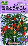 カネコ種苗 草花タネ733 五色とうがらし 10袋セット
