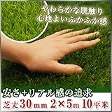 ［単品］新リアル人工芝 パークシア・エコノミー 芝丈30mm 2m×5m ［25.0kg／10平米］