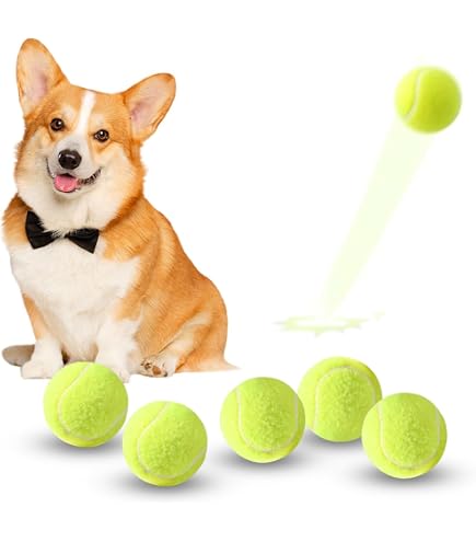 Amazon | PetPrime 自動犬用ボールランチャー インタラクティブ 犬用