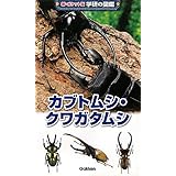 カブトムシvs クワガタムシ 強いのはどっちだ 森のファイターたちは どうやって生まれたのか 世の中への扉 本郷 儀人 本 通販 Amazon