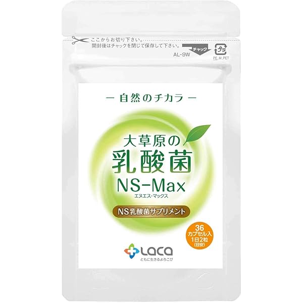 アルタイのNS乳酸菌 60 カプセル入り 1袋 NS-DX 栄養補助食品 新品未 