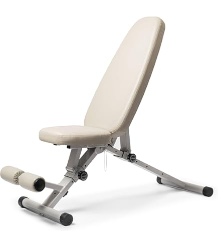 Amazon.co.jp: TEDDY WORKS KENSUI kaku 専用トレーニングベンチ 耐